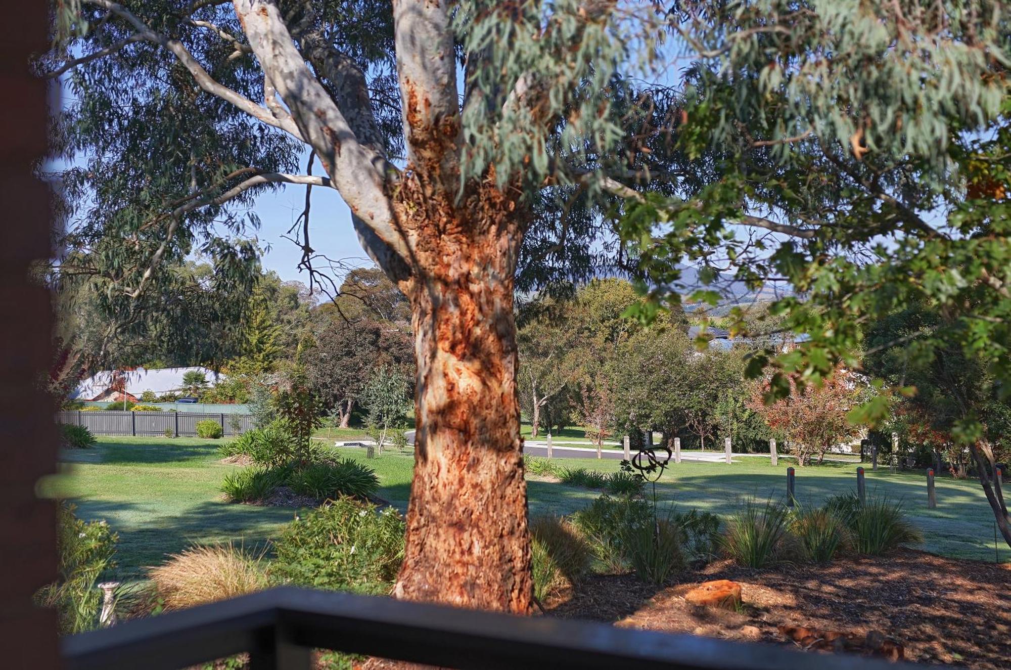 Yarra Gables Motel Healesville Exterior foto